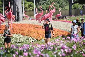 BIB: 
                            <button type="button" onclick="openModal(27793971)" class="btn btn-primary btn-sm float-right btn-popup" data-toggle="modal" data-target=".modal-high-quality">
                        <i class="fas fa-shopping-cart"></i> Add to Cart
                    </button>
                                            <button type="button" onclick="isThisMe(27793971, true)" class="btn btn-success btn-sm float-right btn-popup btn-isme hidden" data-toggle="tooltip" data-placement="bottom" title="นี่คือรูปของคุณใช่ไหม คลิกที่นี่เพื่อเอาเข้าอัลบั้ม">
                        <i class="fas fa-plus"></i> Add to album
                    </button>
                    <button type="button" onclick="isThisMe(27793971, false)" class="btn btn-warning btn-sm float-right btn-popup btn-isnotme hidden">
                        <i class="fas fa-ban"></i> Remove from album
                    </button>